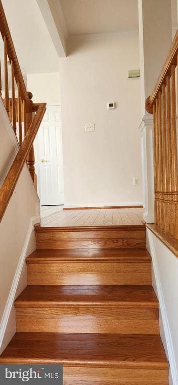 43660 St Helena Terrace in Ashburn, VA - Building Photo - Building Photo