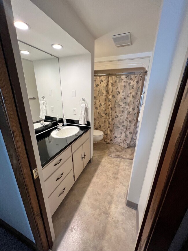 1007 Caledonia St in La crosse, WI - Building Photo - Building Photo