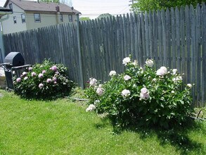 20 N Locust St, Unit Apt 1 in Aurora, IL - Building Photo - Building Photo