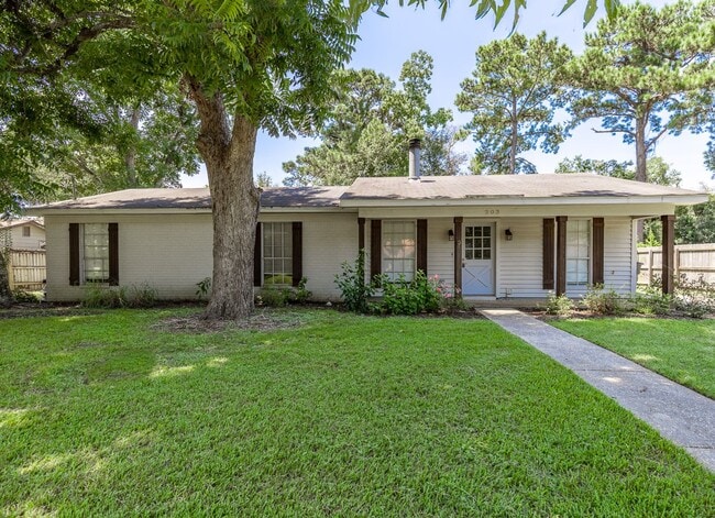property at 203 Patrician St