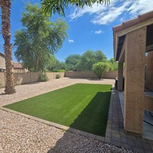662 W Crane Ct in Chandler, AZ - Building Photo - Building Photo