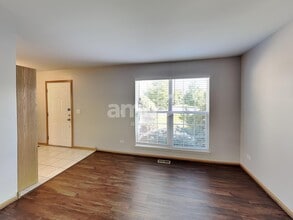 347 Deering Ln in Bolingbrook, IL - Building Photo - Building Photo