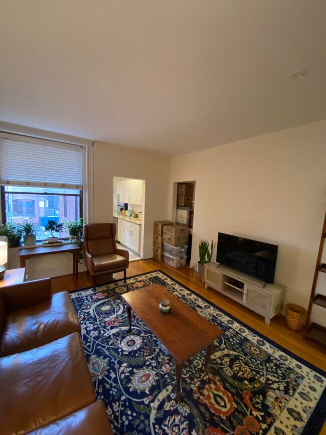 46 Orkney Rd in Boston, MA - Building Photo - Building Photo