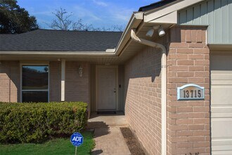 13715 Ludgate Pass in Houston, TX - Building Photo - Building Photo