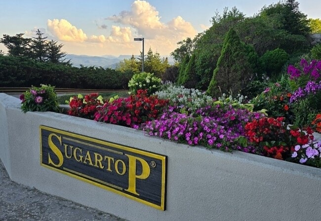 property at 303 Sugar Top Dr