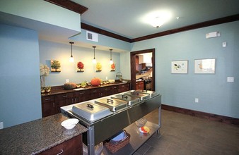 Discovery Village @ Twin Creeks Senior Living in Allen, TX - Building Photo - Building Photo