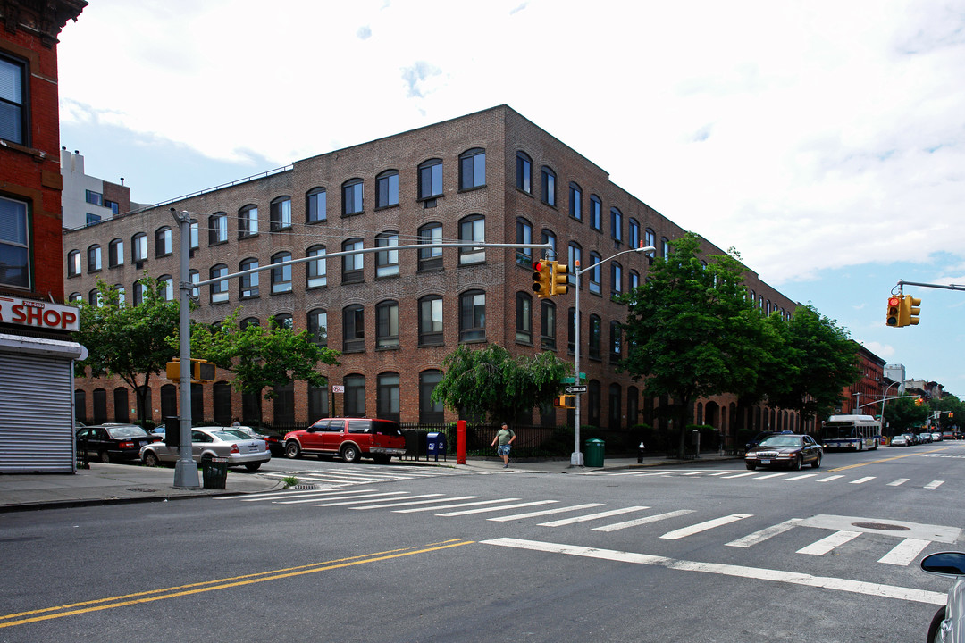 Ansonia Court in Brooklyn, NY - Foto de edificio