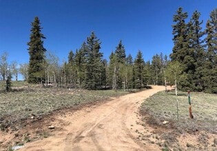 53 Warpath Rd in Como, CO - Building Photo - Building Photo