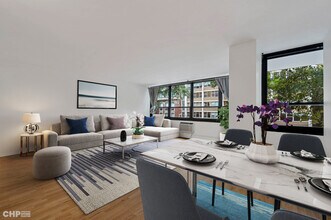 33 E Cedar St in Chicago, IL - Building Photo - Building Photo