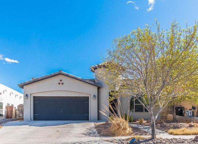 property at 871 Maple Park Ave