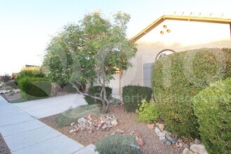 13030 N Spinystar Dr in Oro Valley, AZ - Building Photo - Building Photo