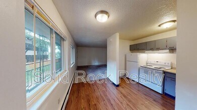 1411 S Corona Ave in Colorado Springs, CO - Building Photo - Building Photo