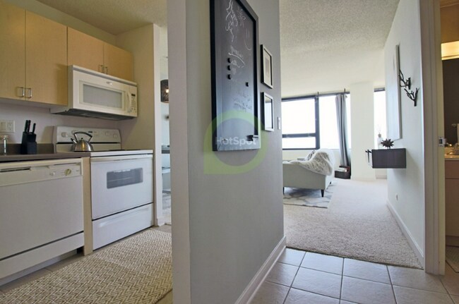 1197 S Michigan Ave in Chicago, IL - Building Photo - Building Photo