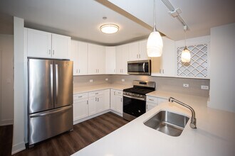 1212 Vine Ave in Park Ridge, IL - Building Photo - Building Photo