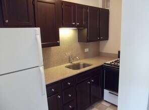 1 E Scott St in Chicago, IL - Building Photo - Building Photo