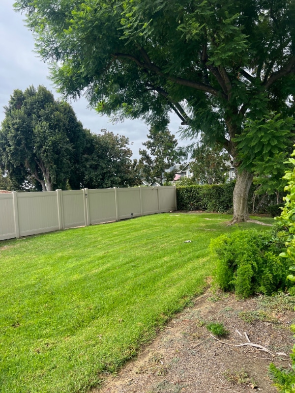 145 N Cambridge Ave in Claremont, CA - Foto de edificio - Building Photo