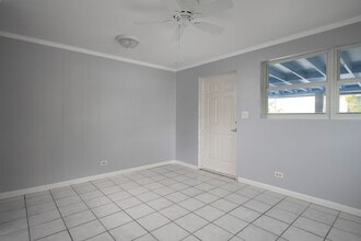917 Frances St in Key West, FL - Building Photo - Building Photo