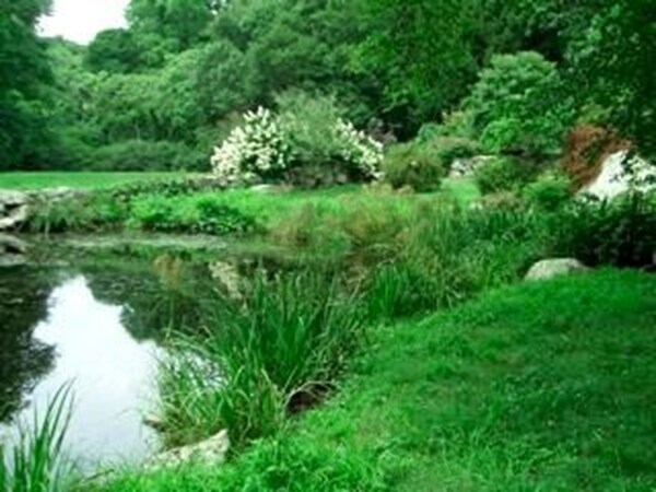 15 Crowell Ln in West Tisbury, MA - Building Photo - Building Photo