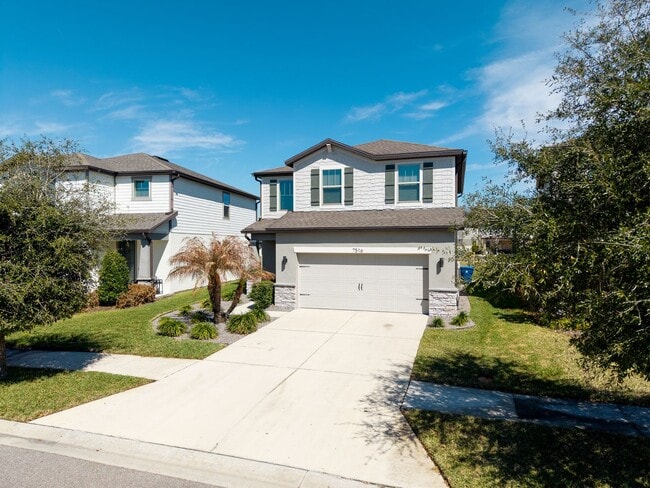 7516 Yale Harbor Dr in Wesley Chapel, FL - Building Photo - Building Photo