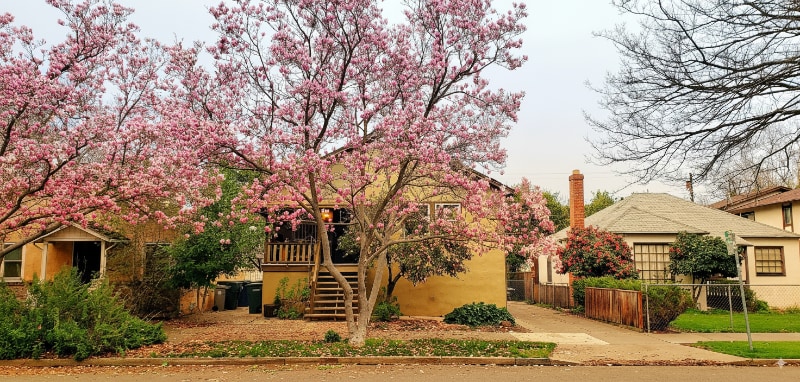 1313 U St in Sacramento, CA - Building Photo