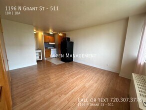1196 N Grant St in Denver, CO - Building Photo - Building Photo