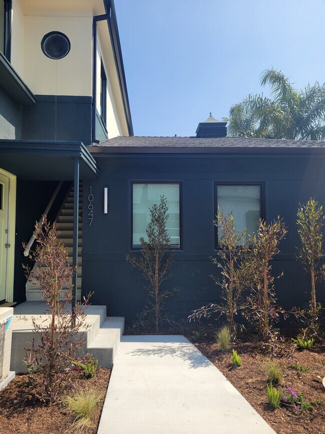 10647 Whipple St in North Hollywood, CA - Building Photo - Building Photo