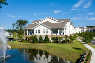 The Grove at Carolina Park in Mount Pleasant, SC - Building Photo - Building Photo