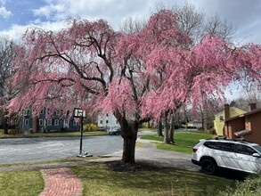 14 Lilac Cir in Wellesley, MA - Building Photo - Building Photo