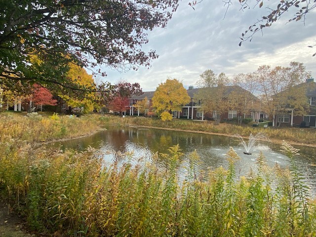 972 Enfield Dr in Northbrook, IL - Foto de edificio - Building Photo