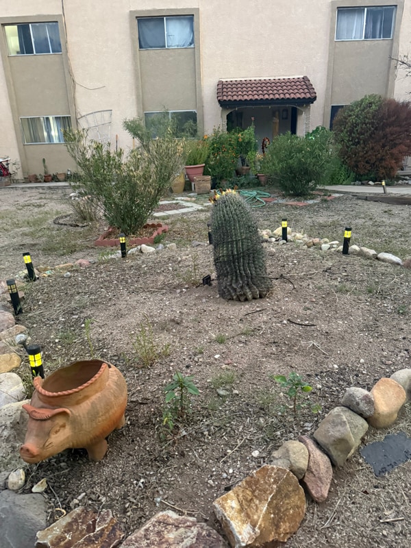 433 Avenida Garza in Rio Rico, AZ - Building Photo - Building Photo