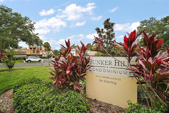 1051 S Highland St in Mount Dora, FL - Building Photo - Building Photo