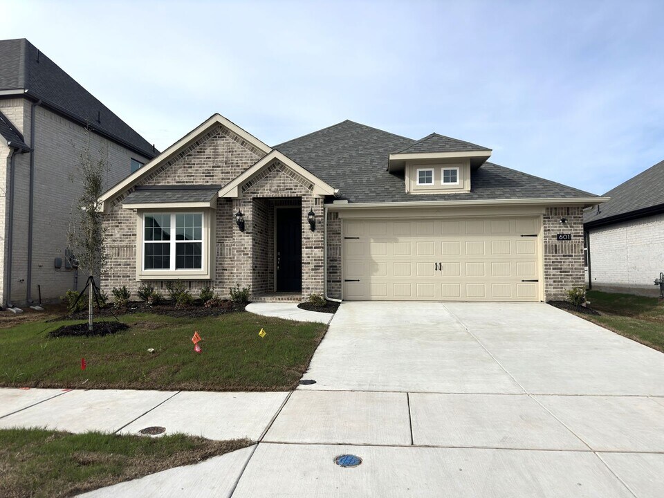 601 Tartane Dr in Anna, TX - Building Photo