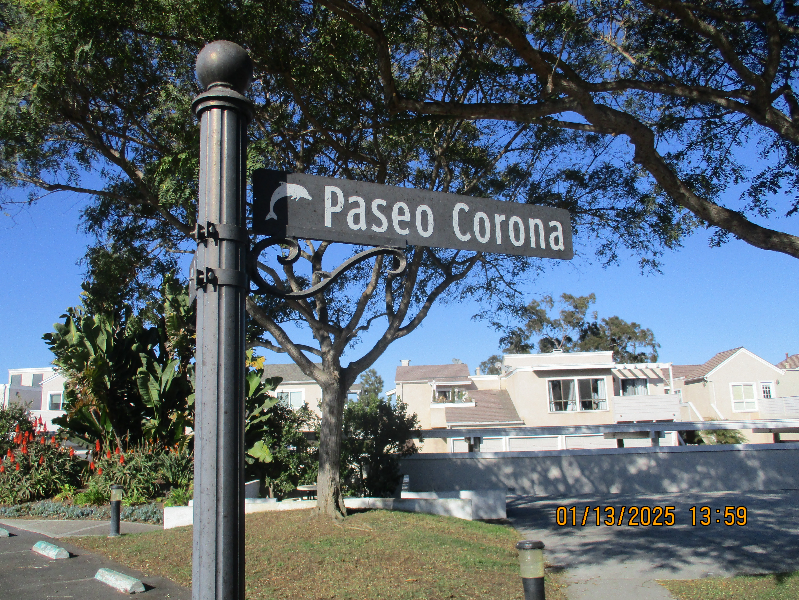 24098 Paseo Corona in Dana Point, CA - Building Photo