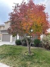 409 Bannock St in Fort Collins, CO - Building Photo - Building Photo