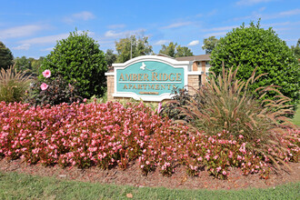 Amber Ridge in Greensboro, NC - Building Photo - Building Photo