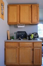 1025 W Cullerton St in Chicago, IL - Building Photo - Building Photo