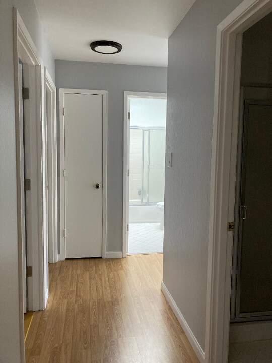1910 Greenwich St in San Francisco, CA - Building Photo