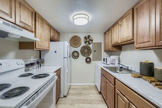 Paddock on Park Row in Arlington, TX - Building Photo - Building Photo