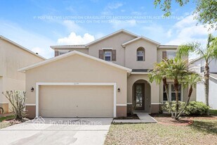 11135 Golden Silence Dr in Riverview, FL - Building Photo