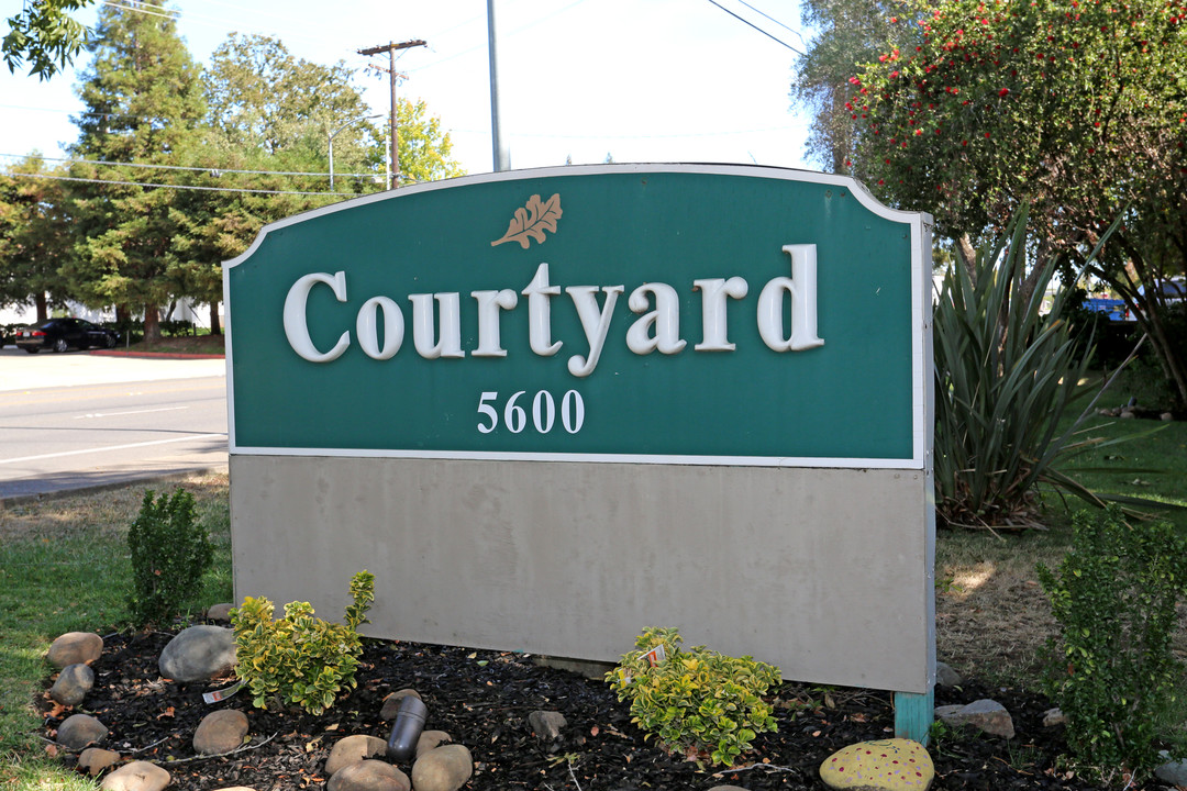 Courtyard Apartments Photo