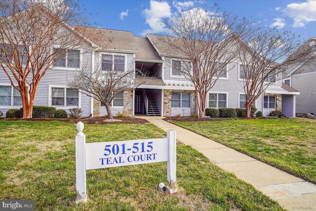 505 Teal Ct in Chester, MD - Building Photo - Building Photo