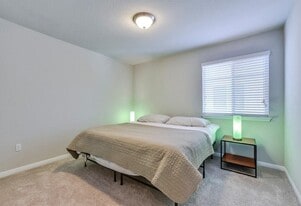 11203 Sisquoc Formation Vw, Unit UPSTAIRS ROOM in Austin, TX - Building Photo