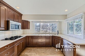 9734 E Villasur Ct in Parker, CO - Foto de edificio - Building Photo