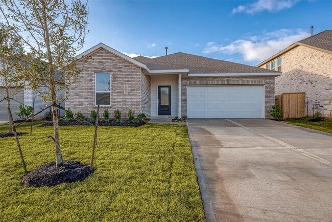 property at 26603 Foxtail Fern Dr