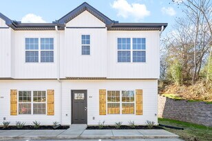 Spring St. Townhomes in Dover, TN - Building Photo