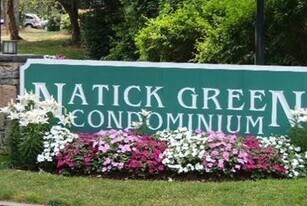 46 Silver Hill Ln in Natick, MA - Building Photo