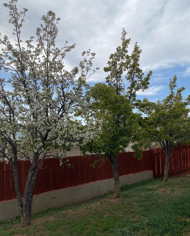 810 E Saguaro St in Bayfield, CO - Building Photo - Building Photo