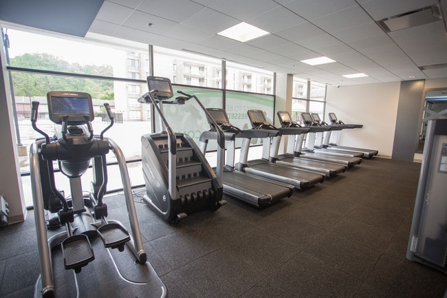 Trillium Apartments in Fairfax, VA - Building Photo - Other