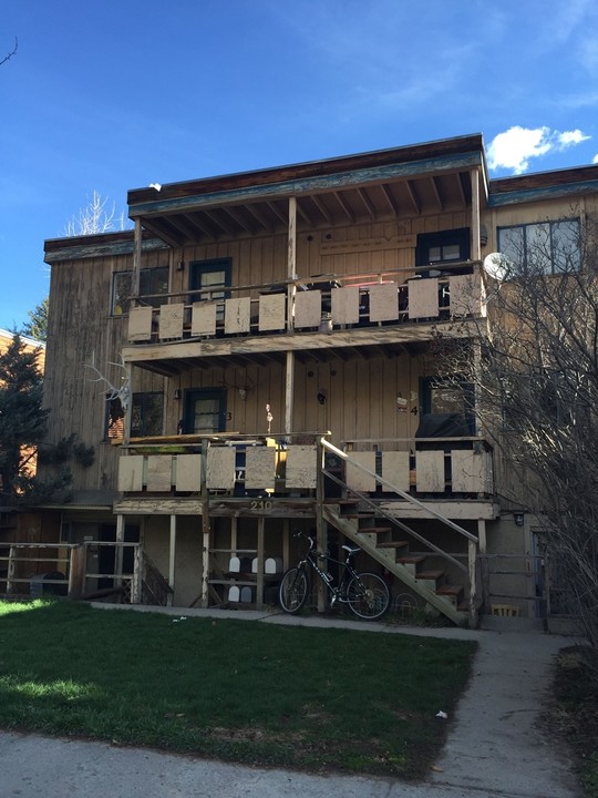 210 W Main St in Aspen, CO - Foto de edificio