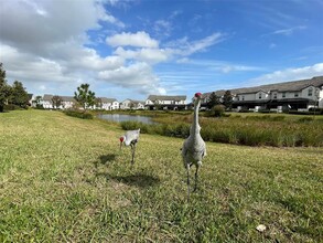 163 Captiva Dr in Davenport, FL - Building Photo - Building Photo